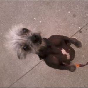 Meet your Posher, Tomas